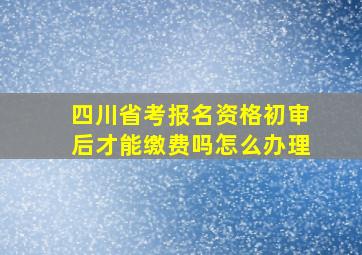 四川省考报名资格初审后才能缴费吗怎么办理