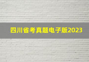 四川省考真题电子版2023