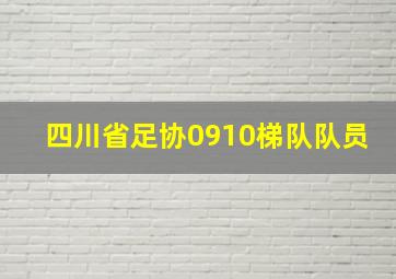 四川省足协0910梯队队员