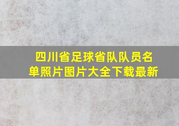 四川省足球省队队员名单照片图片大全下载最新