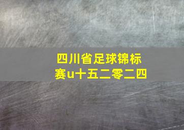 四川省足球锦标赛u十五二零二四