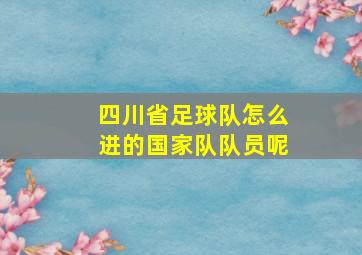 四川省足球队怎么进的国家队队员呢