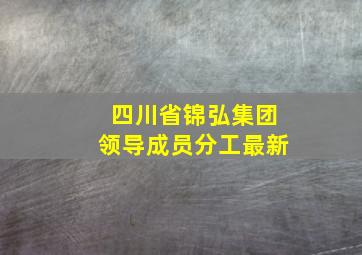 四川省锦弘集团领导成员分工最新