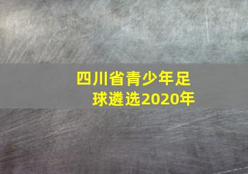 四川省青少年足球遴选2020年