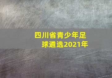 四川省青少年足球遴选2021年