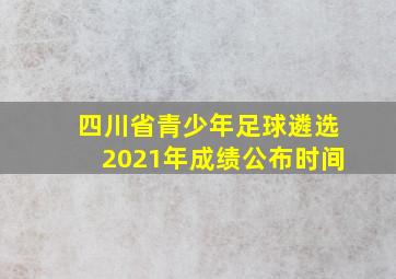 四川省青少年足球遴选2021年成绩公布时间