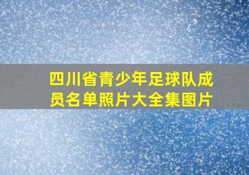 四川省青少年足球队成员名单照片大全集图片