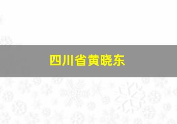 四川省黄晓东