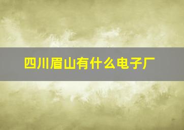 四川眉山有什么电子厂