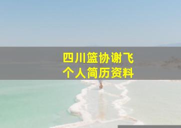 四川篮协谢飞个人简历资料