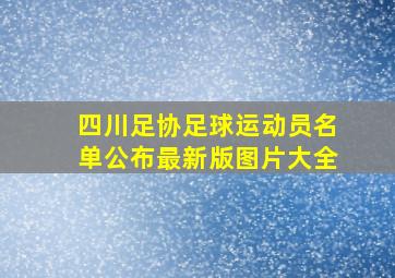 四川足协足球运动员名单公布最新版图片大全