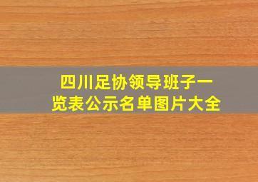 四川足协领导班子一览表公示名单图片大全