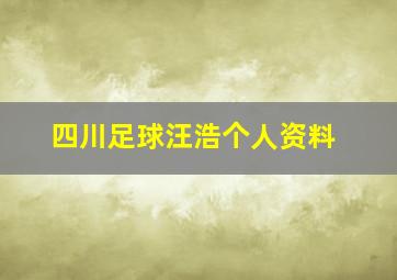 四川足球汪浩个人资料