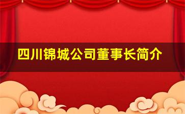 四川锦城公司董事长简介