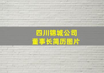 四川锦城公司董事长简历图片