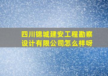 四川锦城建安工程勘察设计有限公司怎么样呀