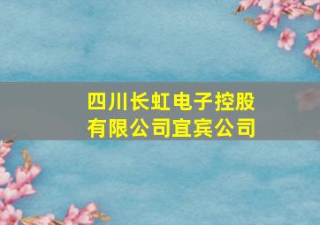 四川长虹电子控股有限公司宜宾公司