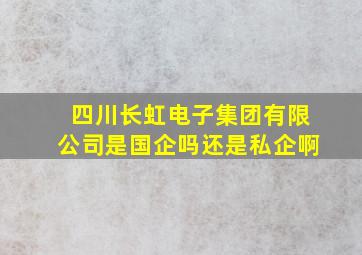 四川长虹电子集团有限公司是国企吗还是私企啊