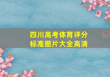 四川高考体育评分标准图片大全高清