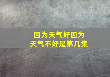 因为天气好因为天气不好是第几集