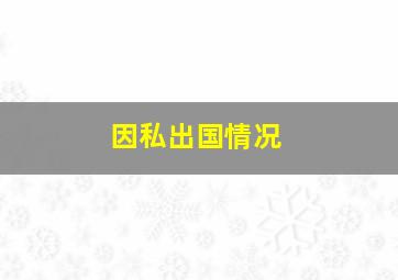 因私出国情况