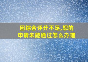 因综合评分不足,您的申请未能通过怎么办理