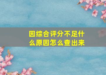 因综合评分不足什么原因怎么查出来