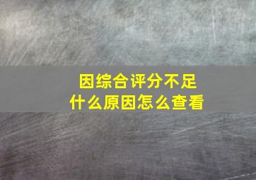 因综合评分不足什么原因怎么查看