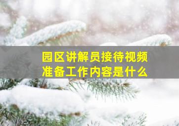 园区讲解员接待视频准备工作内容是什么