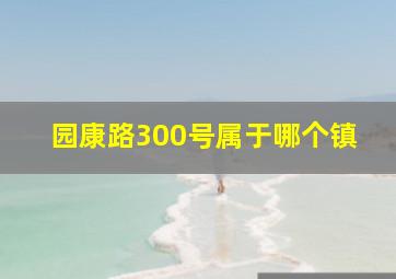 园康路300号属于哪个镇