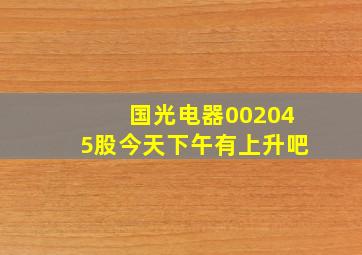 国光电器002045股今天下午有上升吧