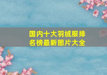 国内十大羽绒服排名榜最新图片大全