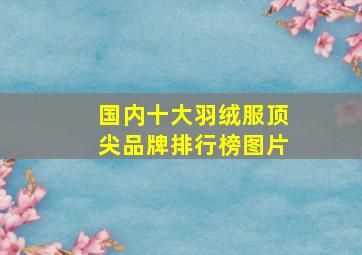 国内十大羽绒服顶尖品牌排行榜图片