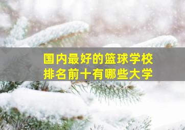 国内最好的篮球学校排名前十有哪些大学