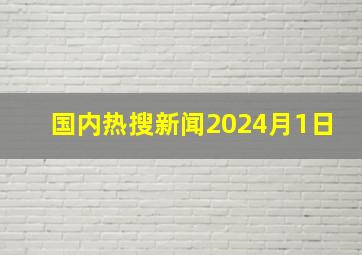 国内热搜新闻2024月1日