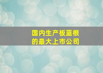 国内生产板蓝根的最大上市公司