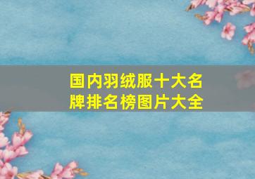 国内羽绒服十大名牌排名榜图片大全