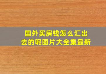 国外买房钱怎么汇出去的呢图片大全集最新