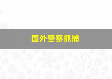 国外警察抓捕