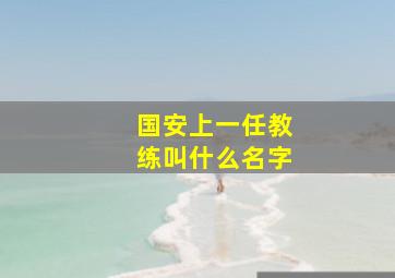 国安上一任教练叫什么名字