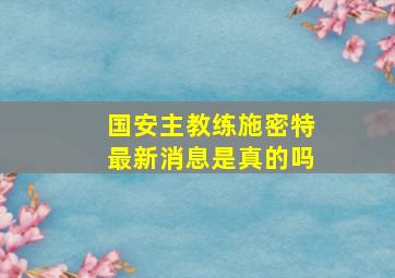 国安主教练施密特最新消息是真的吗