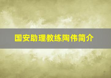 国安助理教练陶伟简介