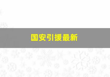 国安引援最新