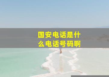 国安电话是什么电话号码啊