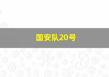 国安队20号