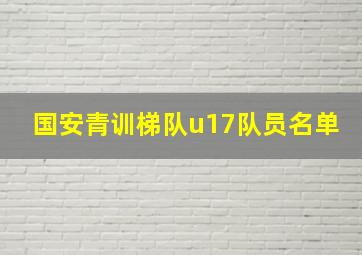 国安青训梯队u17队员名单