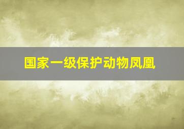 国家一级保护动物凤凰