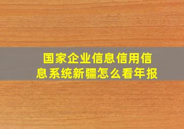 国家企业信息信用信息系统新疆怎么看年报