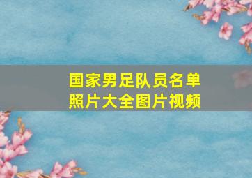 国家男足队员名单照片大全图片视频