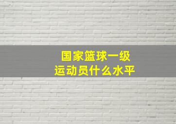 国家篮球一级运动员什么水平